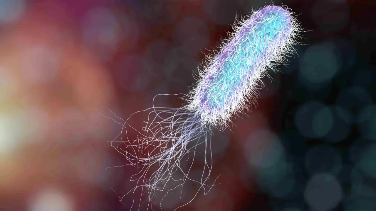 Un batterio Pseudomonas aeruginosa, con i suoi flagelli, è un nemico da eliminare per la salute.