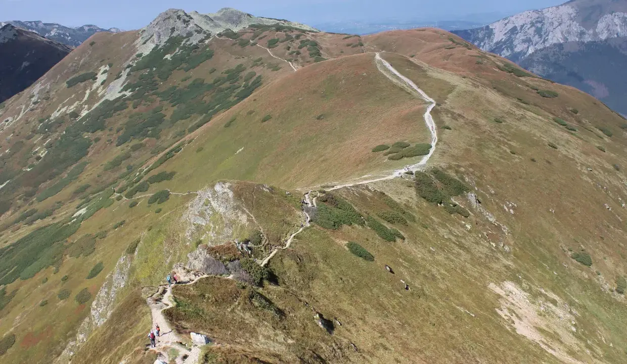 Szlak turystyczny wije się po zboczach Starorobociańskiego Wierchu, otoczony trawami i kosodrzewiną.