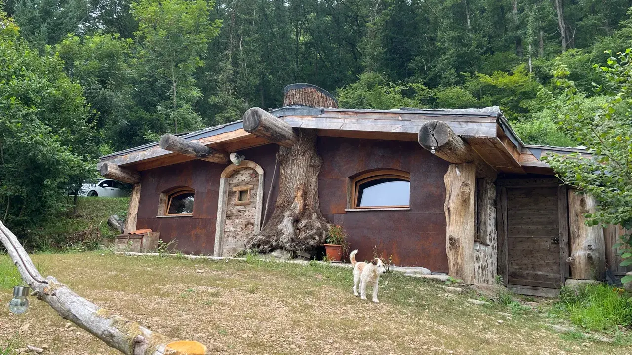 Une charmante cabane semi enterrée, intégrée à la nature, avec un chien curieux devant.