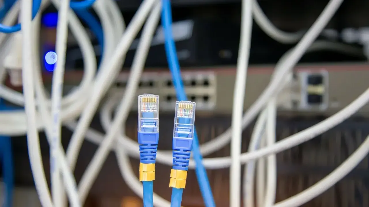 Deux câbles Ethernet bleus avec connecteurs RJ45 transparents, entourés de câbles blancs et bleus. Un choix judicieux pour votre réseau.