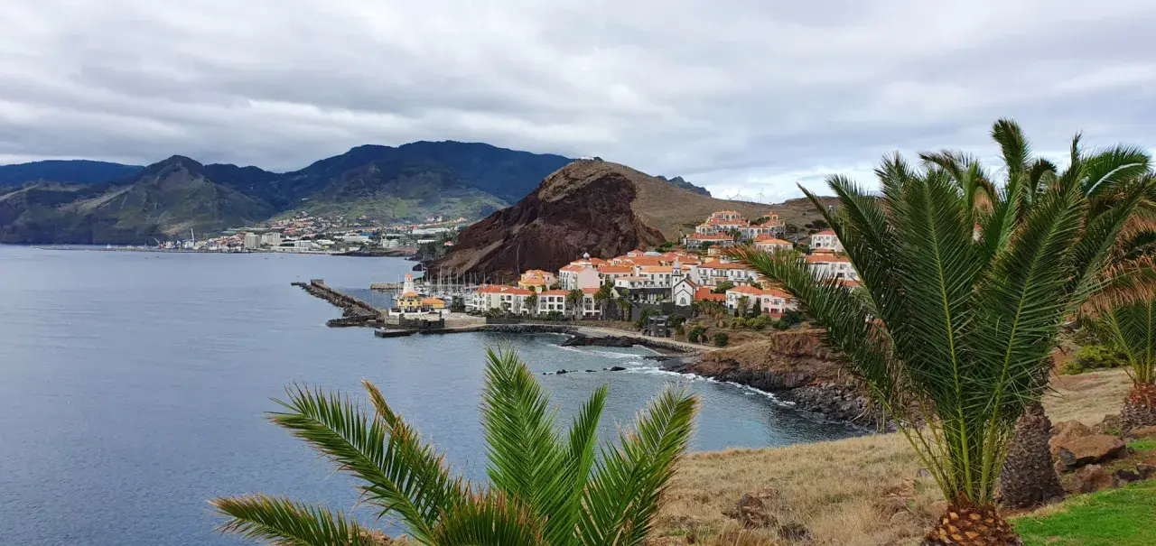 Blick auf eine Küstenstadt mit weißen Häusern und roten Dächern, umgeben von Bergen. Palmen im Vordergrund. Hier leben die Madeira Einwohner.