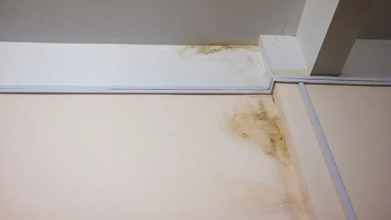 Taches d'humidité et moisissures sur un mur et un plafond, signe d'un vice caché dans cette maison ancienne.