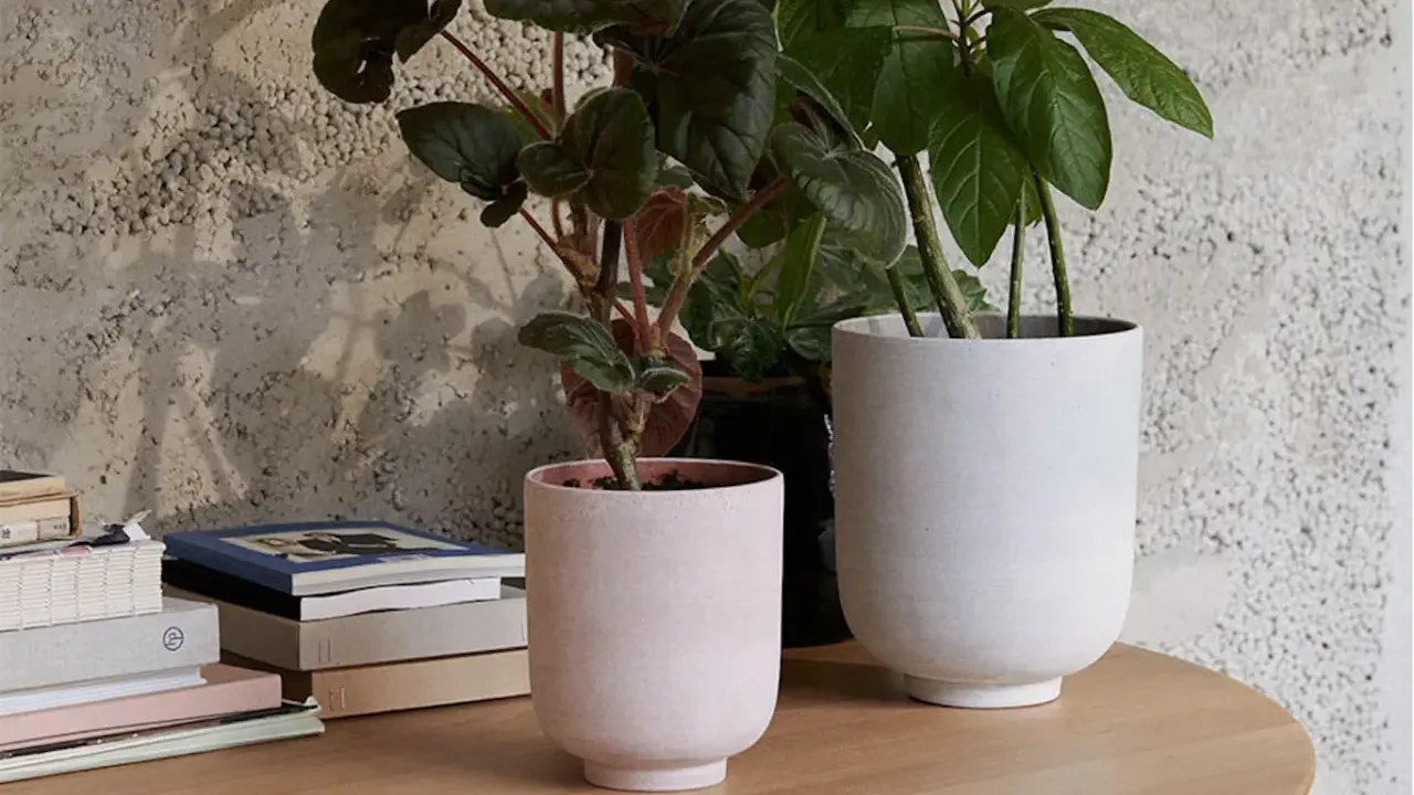 Två stilrena krukor inomhus inspiration. En ljusrosa och en vit kruka med gröna växter på ett runt träbord.