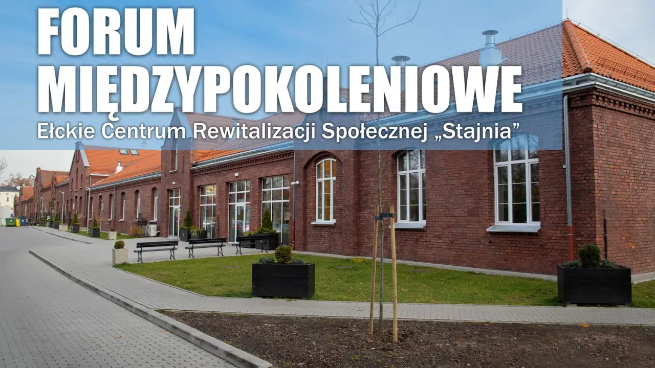 Ełk w siodle: Najlepsze stadniny koni i pełna oferta jeździecka
