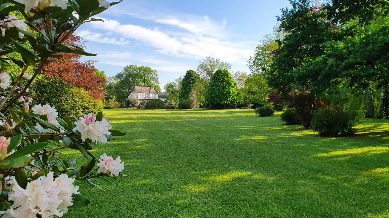 Magnifique pelouse verte, idéale pour savoir quand semer gazon. Des rhododendrons en fleurs au premier plan, un manoir en arrière-plan.