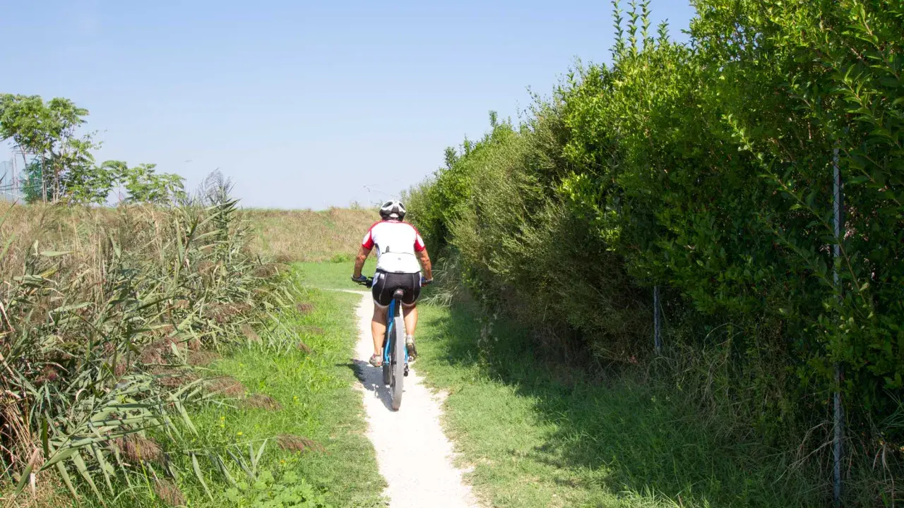 Ciclista su sentiero sterrato, immerso nella natura rigogliosa, un'esperienza da savio di Cervia.