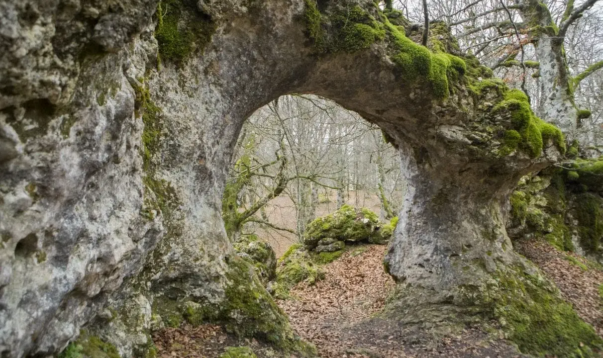 Arco natural cubierto de musgo en la sierra de Entzia, con un bosque otoñal al fondo.