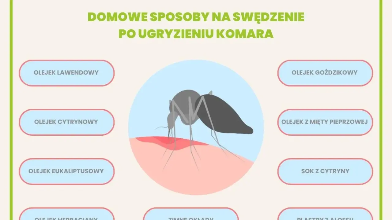 Domowe sposoby na swędzenie po ugryzieniu komara: olejki, sok z cytryny, zimne okłady i plastry z aloesu.