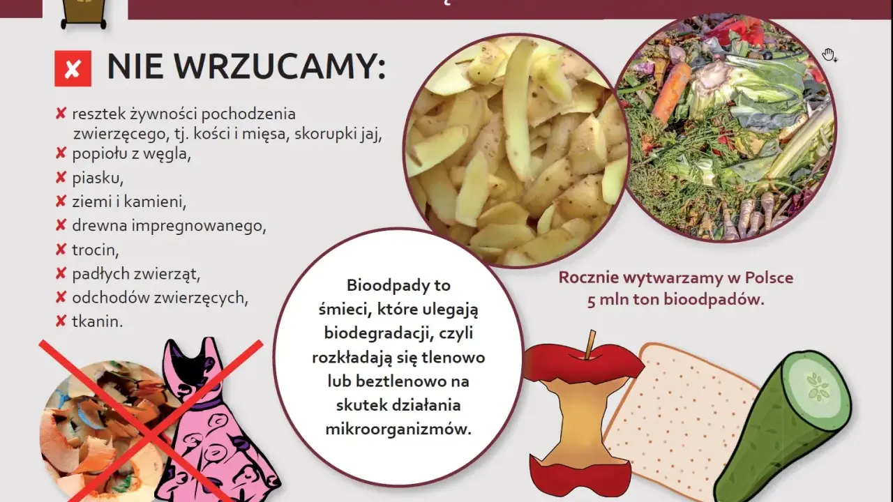 Grafika informuje, co wrzucać do brązowego pojemnika na bioodpady: resztki warzyw, owoców, fusy. Rocznie w Polsce powstaje 5 mln ton bioodpadów.