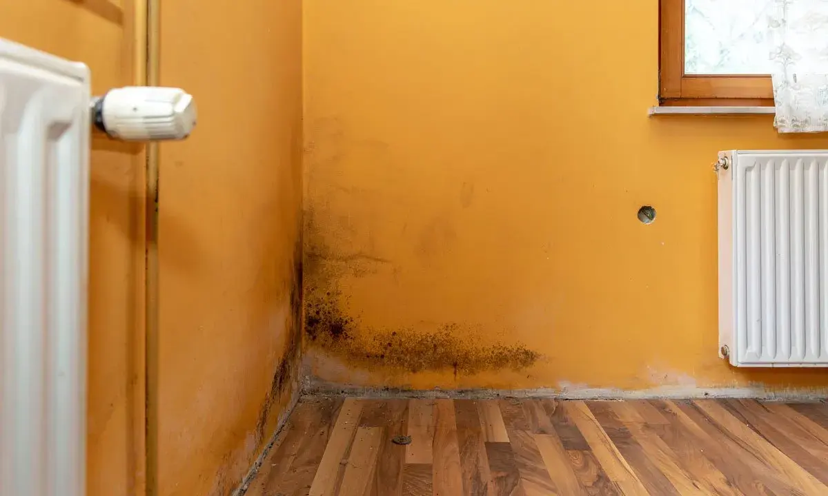 Manchas de moho en la esquina de una habitación con paredes naranjas y radiadores. Un problema común que indica cómo medir la humedad en casa.