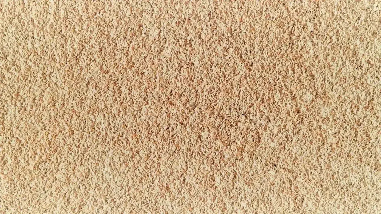 Texture granuleuse de diatomite, témoignant de son évolution naturelle.