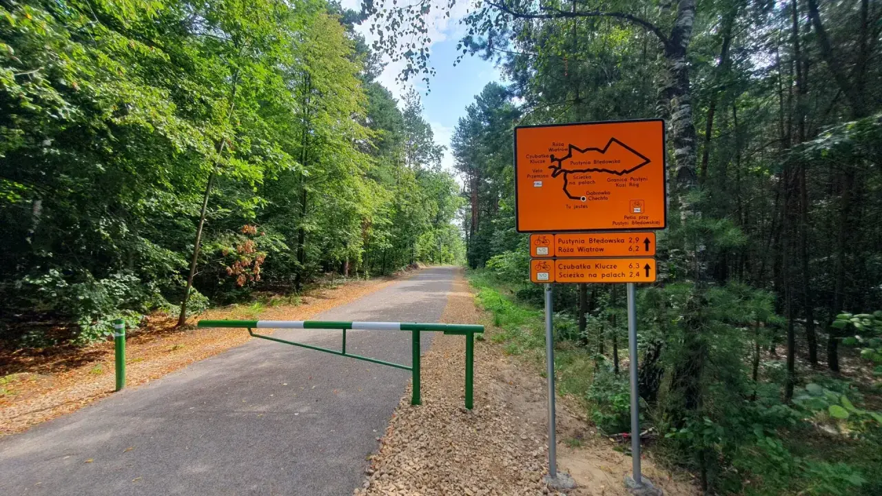 Pustynia Błędowska trasa rowerowa. Znak wskazuje drogę przez las.