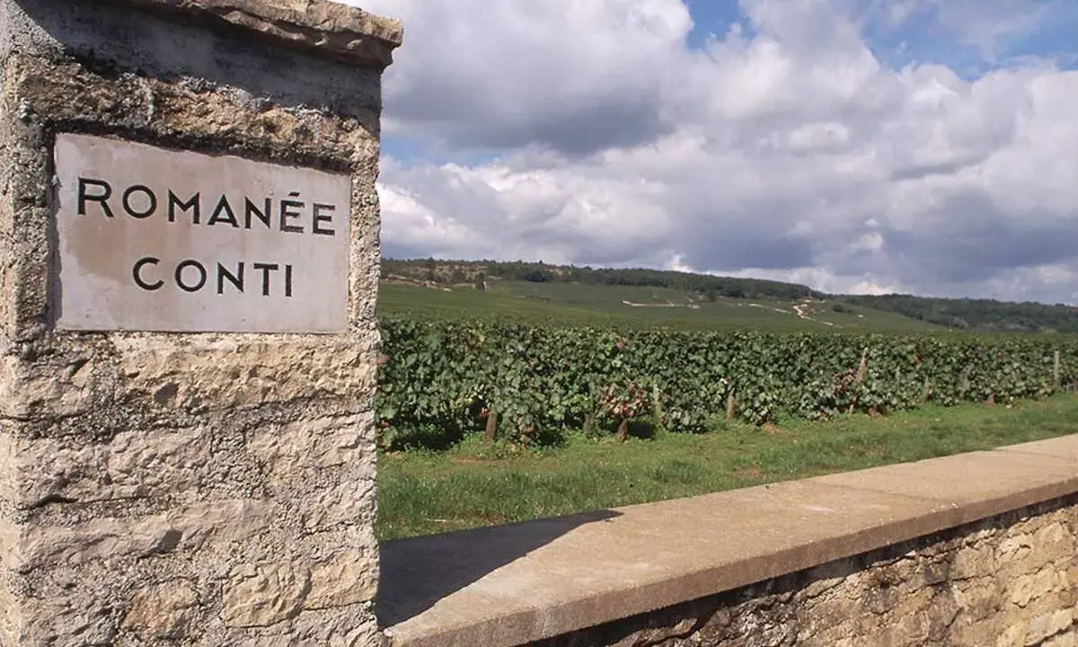 Entrée du vignoble Romanée-Conti, réputé pour produire la bouteille de vin la plus chère du monde. Paysage vallonné et ciel nuageux.