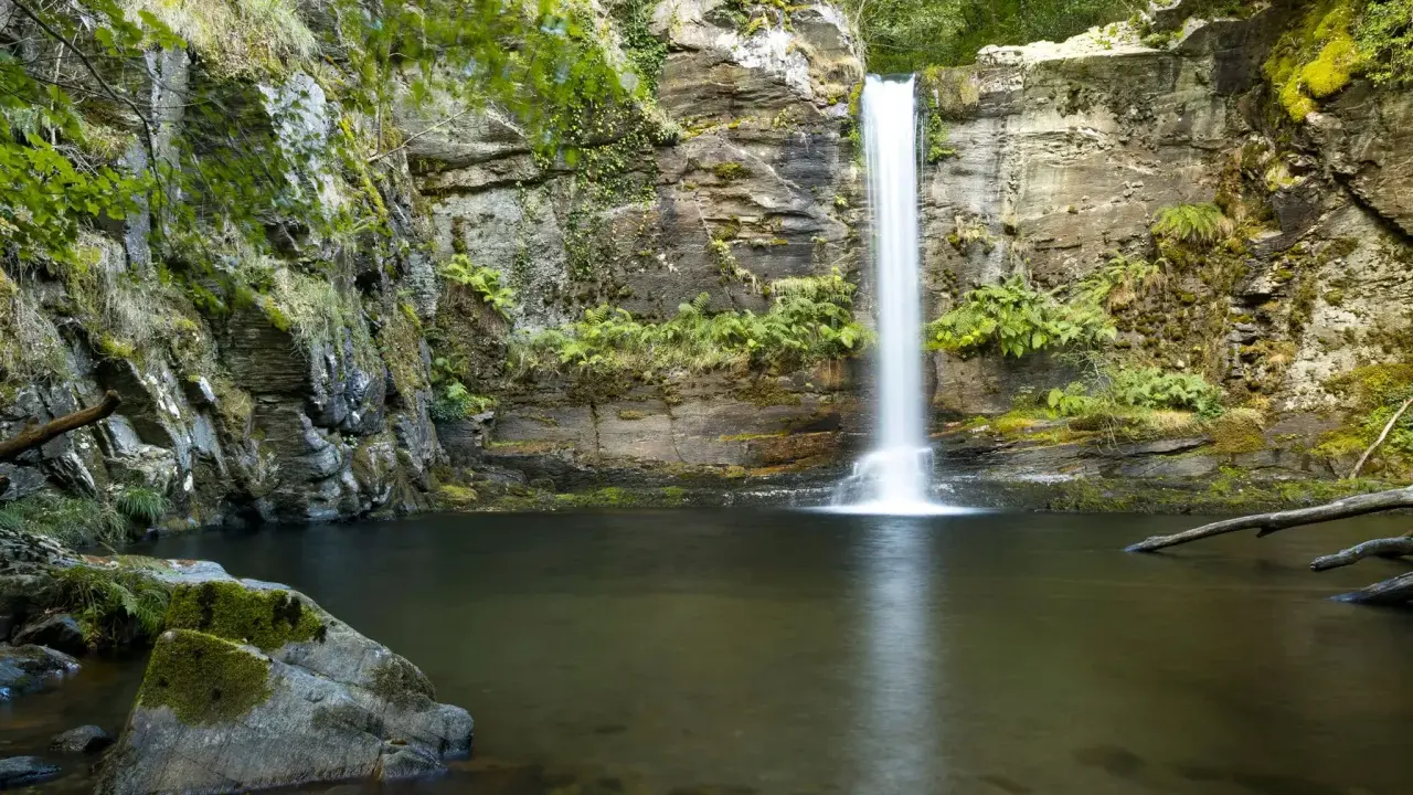 La fervenza do Pombar, una cascada serena rodeada de rocas cubiertas de musgo y vegetación exuberante, cae en una poza de aguas tranquilas.