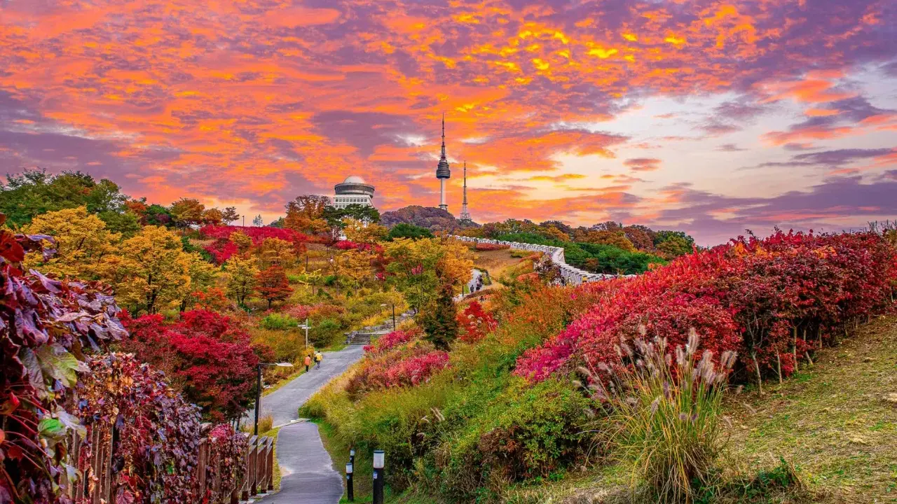 Un sentiero serpeggia tra foliage autunnale vibrante, con la Torre di Seoul in lontananza. Un'immagine perfetta di cosa vedere a Seoul in autunno.