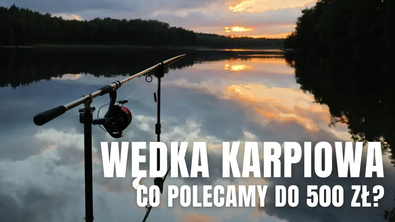 Wędka karpiowa na stojaku nad jeziorem o zachodzie słońca. Czy to najdroższa wędka do 500 zł?