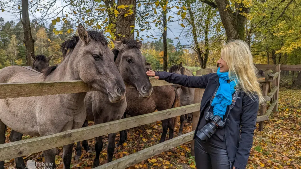 Kobieta głaszcze koniki polskie w Roztoczańskim Parku Narodowym. Jesienne liście tworzą barwne tło.