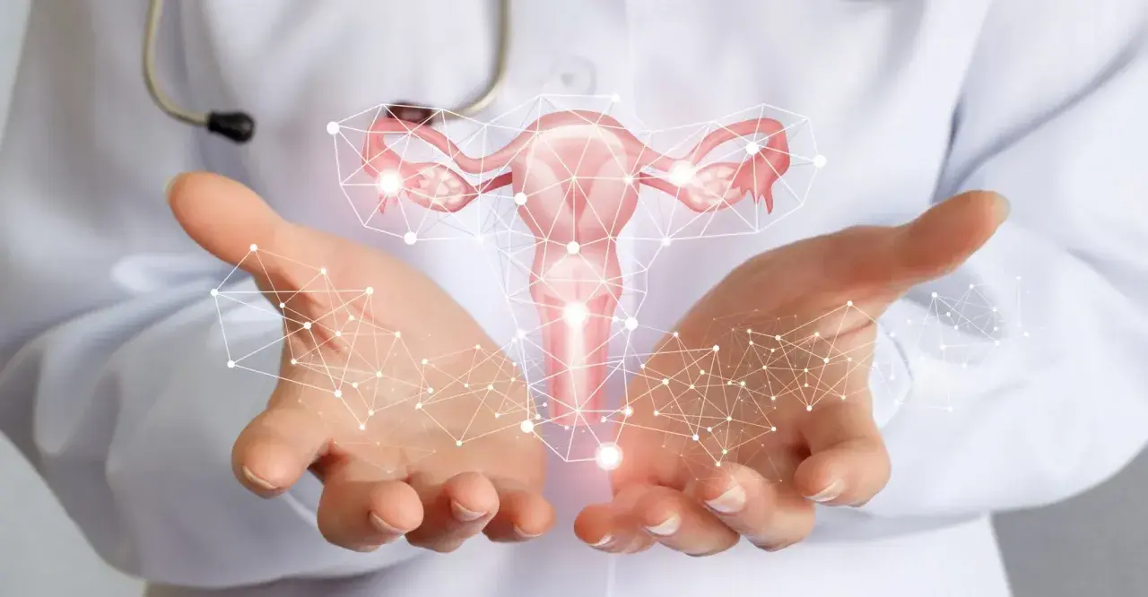 Mani di medico sorreggono utero stilizzato, connettività digitale. Informazioni sui tumore utero sintomi.