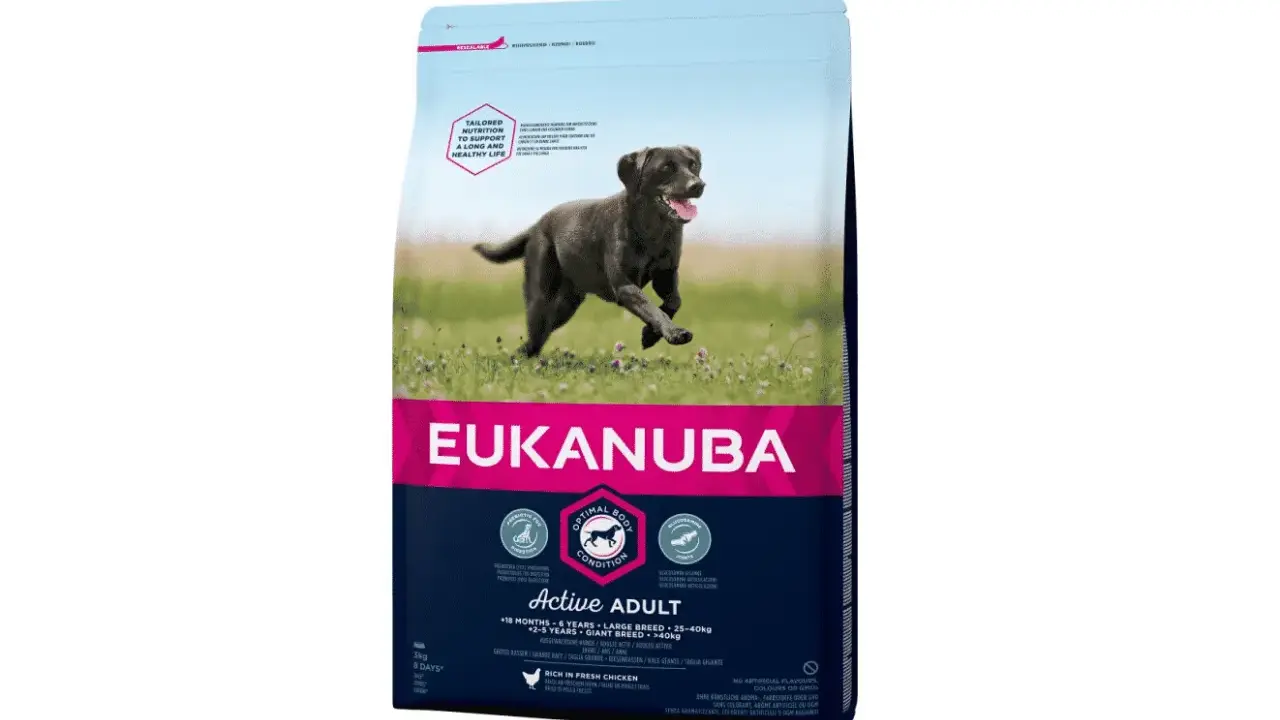 Sac de croquettes Eukanuba Active Adult pour chiens de grande race. Un choix recommandé par les vétérinaires pour une vie saine.