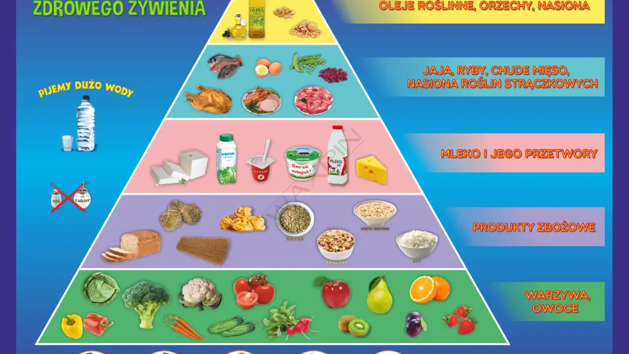 Nowa piramida zdrowego żywienia: warzywa, owoce, produkty zbożowe, nabiał, ryby, mięso, oleje, orzechy. Pij dużo wody!