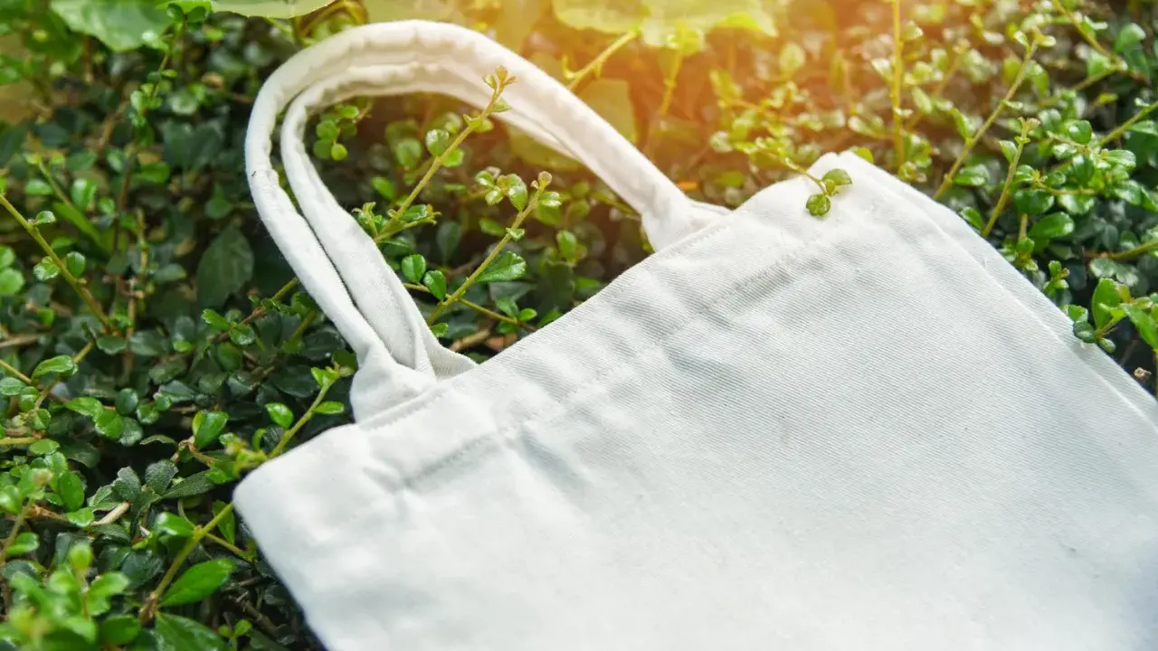 Eine weiße Stofftasche liegt zwischen grünen Blättern. Perfekt, um die Einkaufsstaschen zu verstauen und die Umwelt zu schonen.