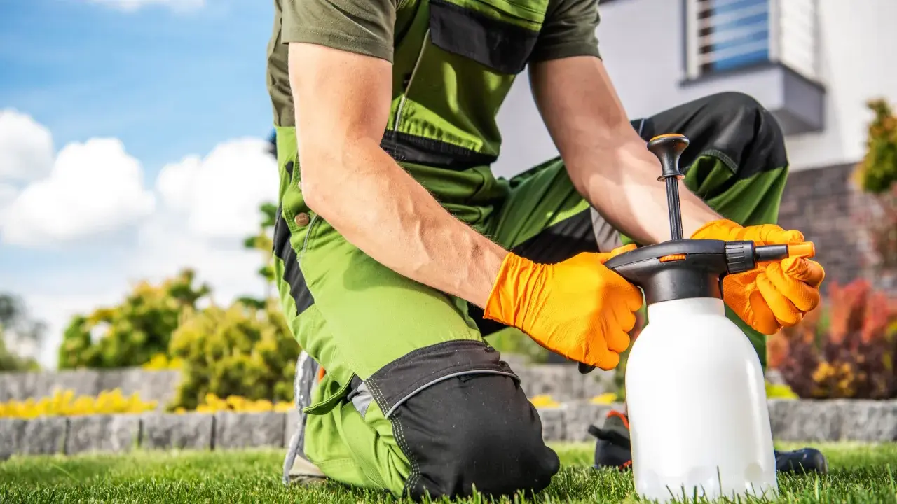 Jardinero con guantes naranjas prepara un pulverizador, buscando alternativas al glifosato para un cuidado ecológico del césped.