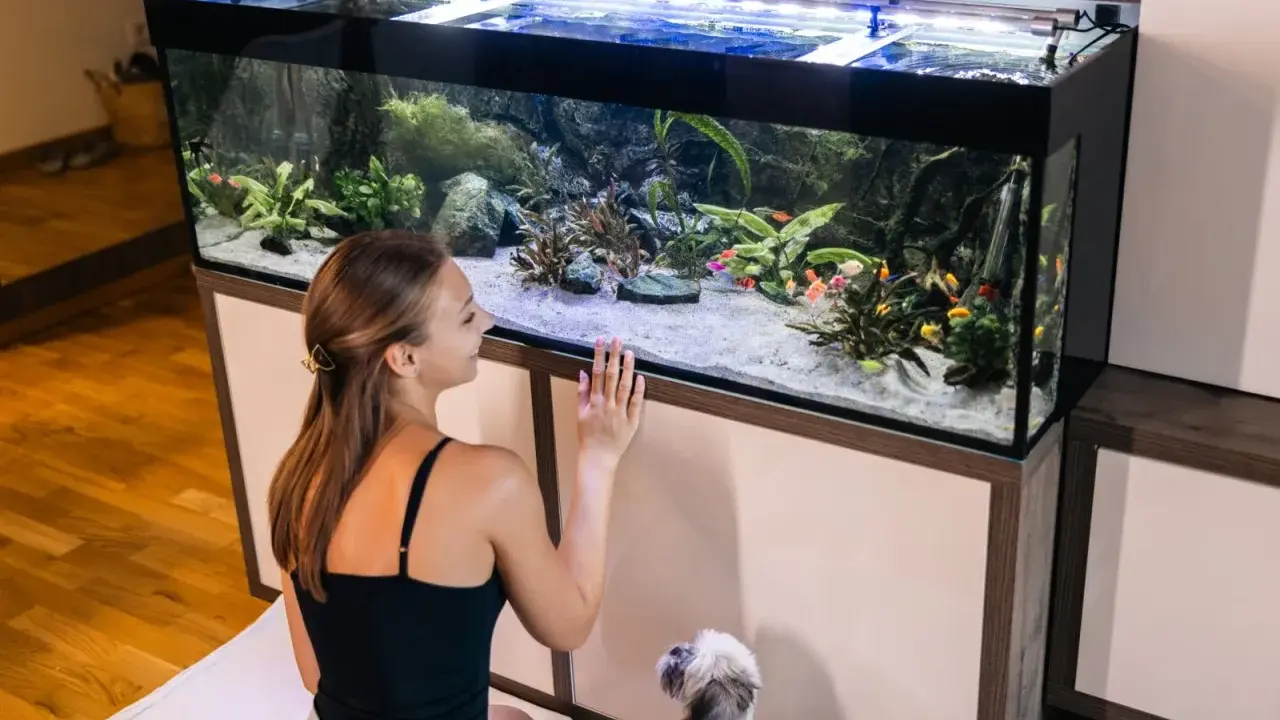 Dziewczyna z pieskiem podziwia kolorowe rybki w pięknym akwarium dla początkujących.