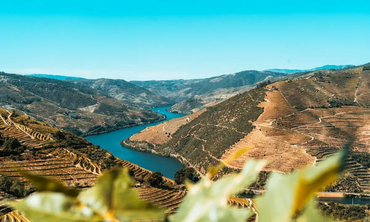 Atemberaubende Terrassenweinberge im Norden Portugals, die sich an steilen Hängen entlang des Flusses Douro erstrecken.