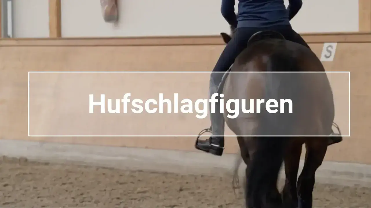 Reiter übt Hufschlagfiguren in einer Reithalle.