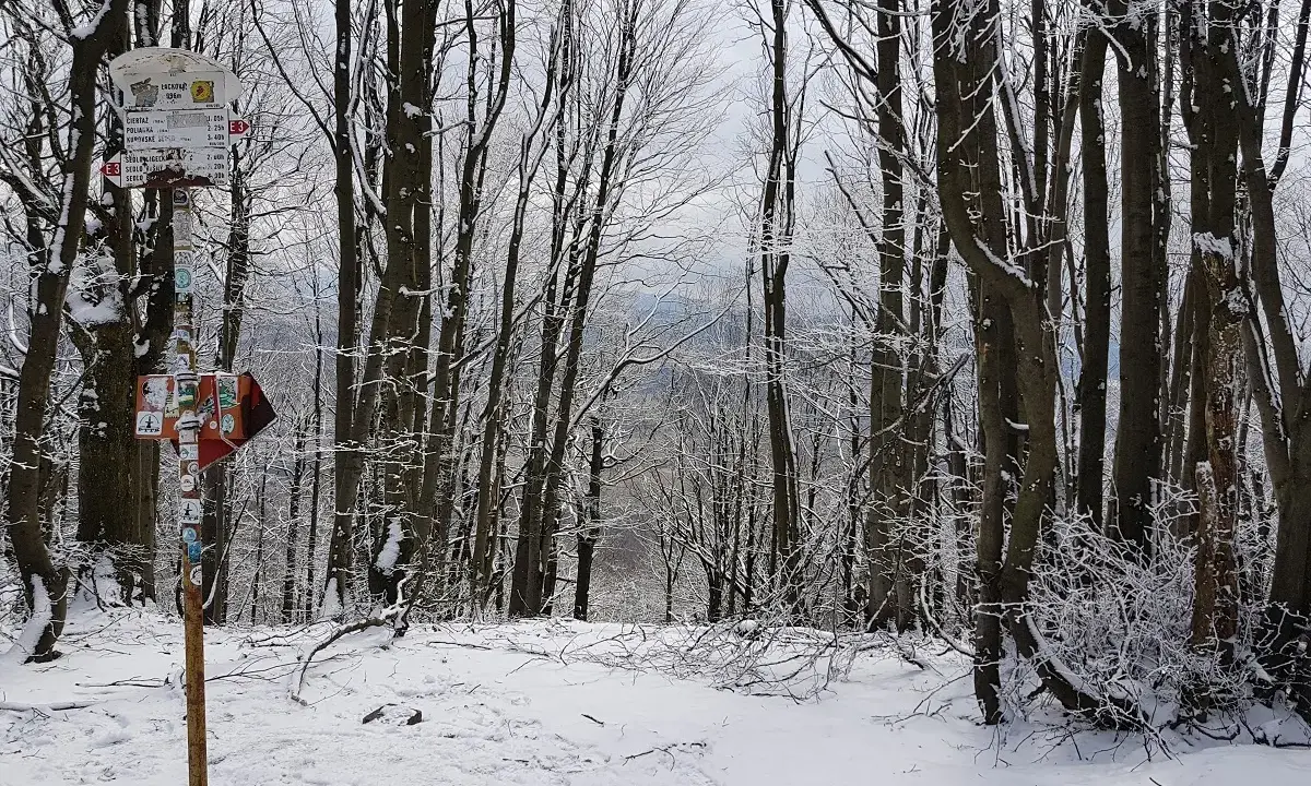 Zimowy las, szlak turystyczny i drogowskaz. W oddali widać panoramę, która przypomina **lackowa ściana płaczu**.