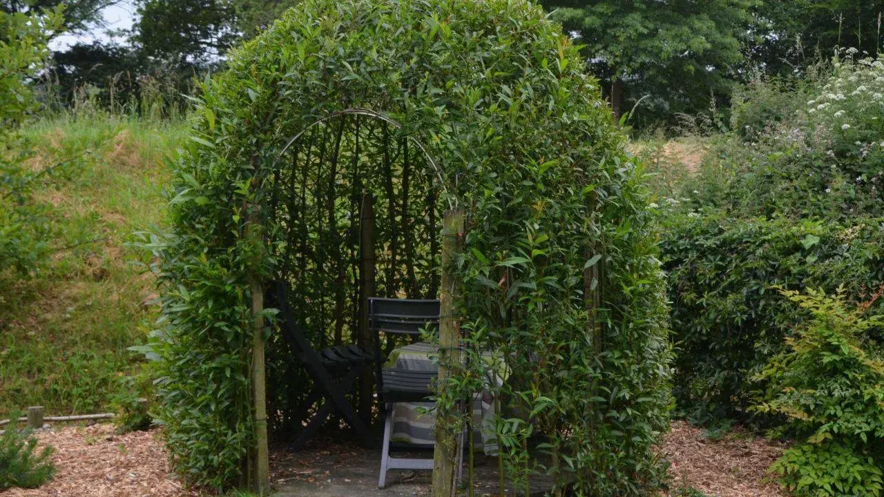 Un abri naturel formé par une **haie osier vivant**, avec des sièges et une table à l'intérieur, invitant à la détente.