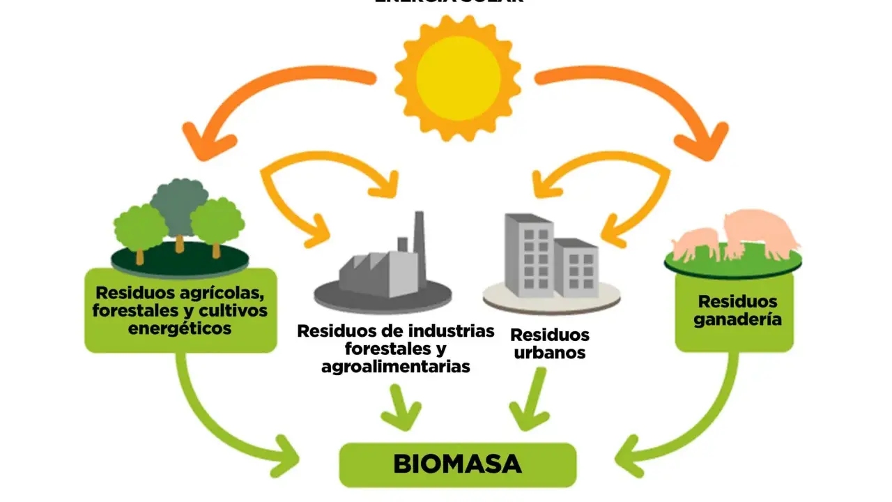 El sol impulsa la energía. Residuos agrícolas, industriales, urbanos y ganaderos se transforman en BIOMASA, mostrando como funciona la biomasa.
