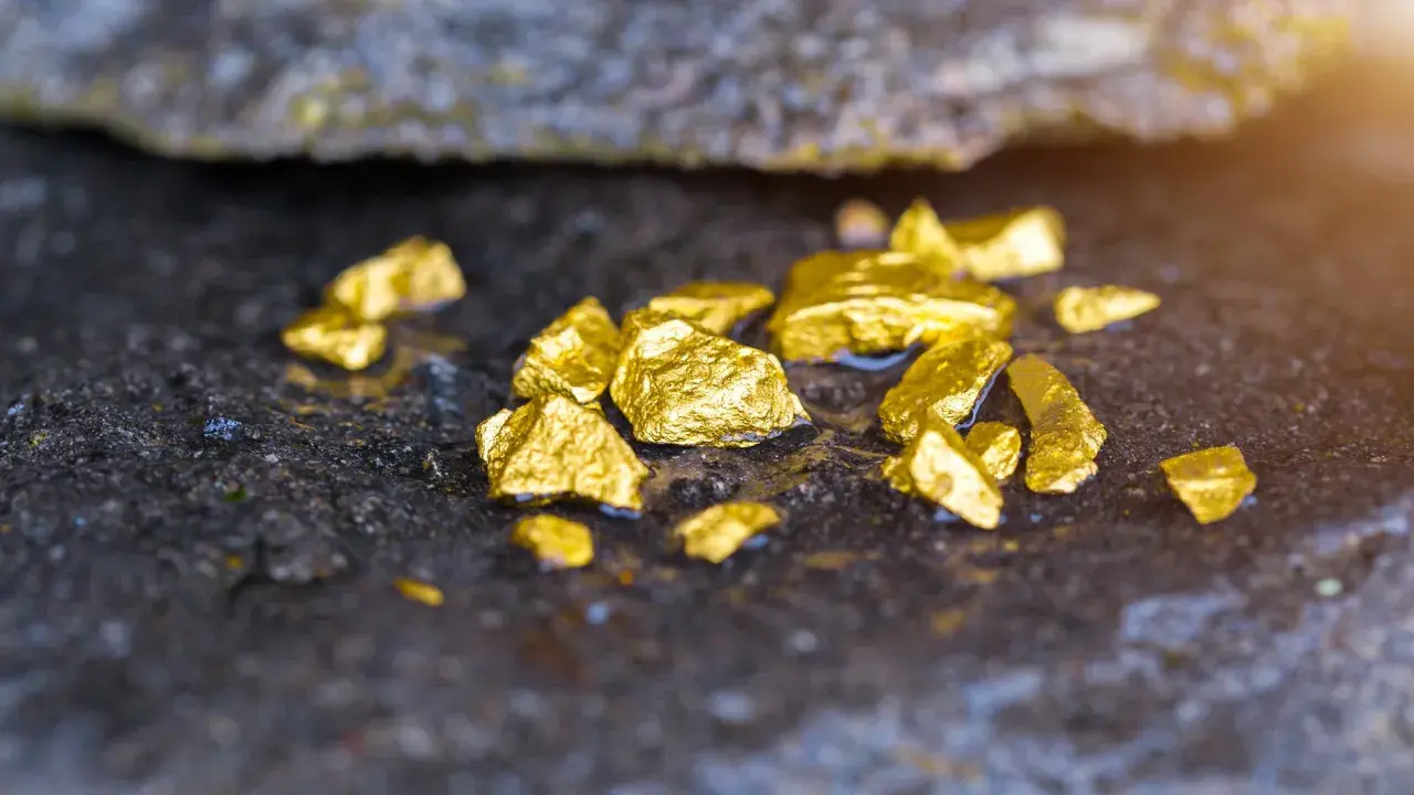 Pepite d'oro luccicanti su roccia umida. Scopri cosa significa oro 585, un metallo prezioso con una storia millenaria.