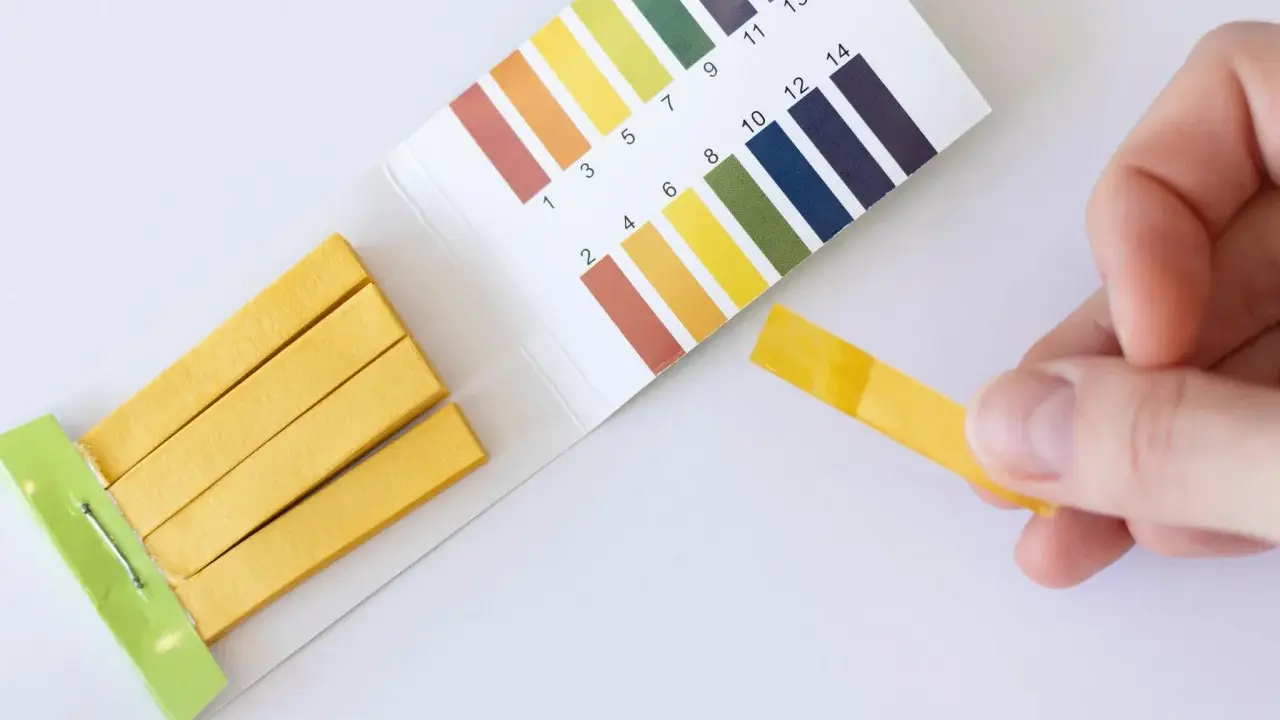Teststreifen zeigen einen pH-Wert von 7 an. Ein **blasensprung nicht bemerkt**? Keine Sorge, der Test ist negativ.