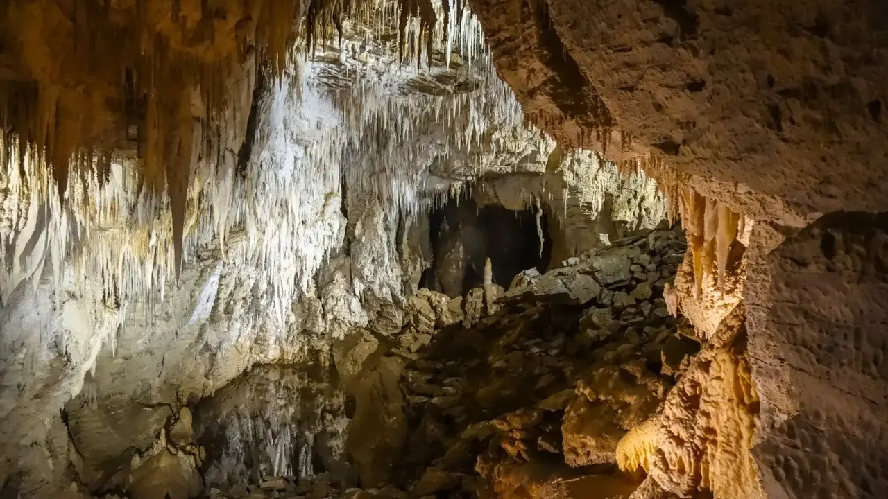 Wnętrze jaskiń w Zakopanem, pełne stalaktytów i stalagmitów, tworzy magiczny, podziemny krajobraz.