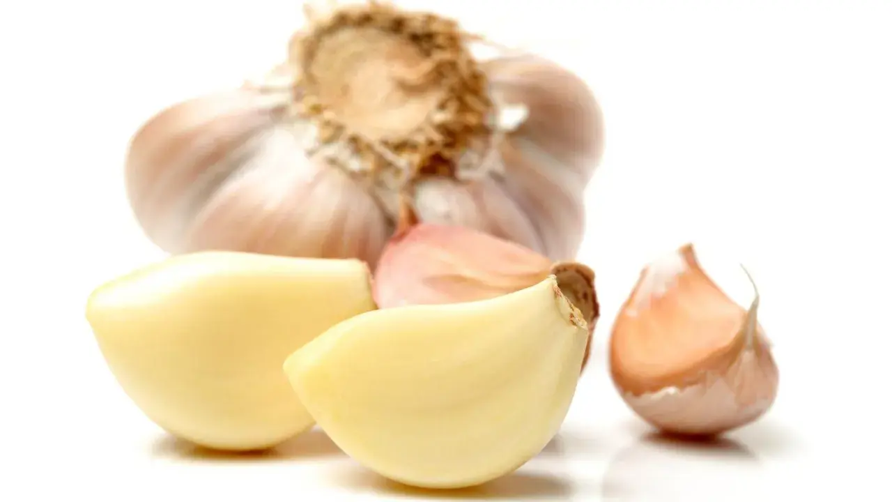 Cała główka czosnku i kilka ząbków na białym tle. Czosnek kcal - zdrowy dodatek do potraw.