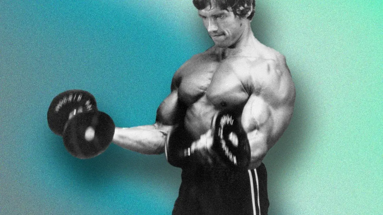 Arnold Schwarzenegger beim Bizeps-Training. Er macht konzentrierte Wiederholungen für sein Hypertrophietraining.