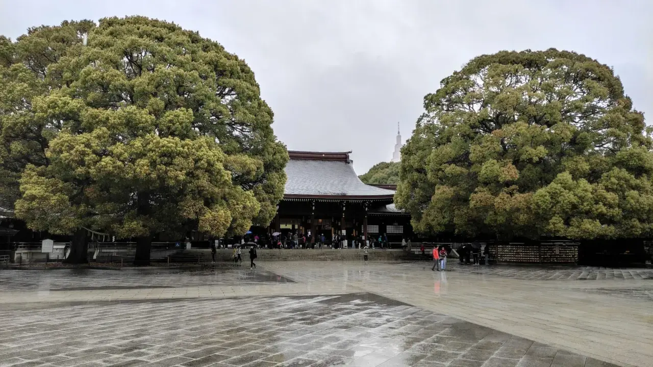 Regenzeit in Japan: Ein Tempel im Schatten großer Bäume, die nassen Steine spiegeln den grauen Himmel.
