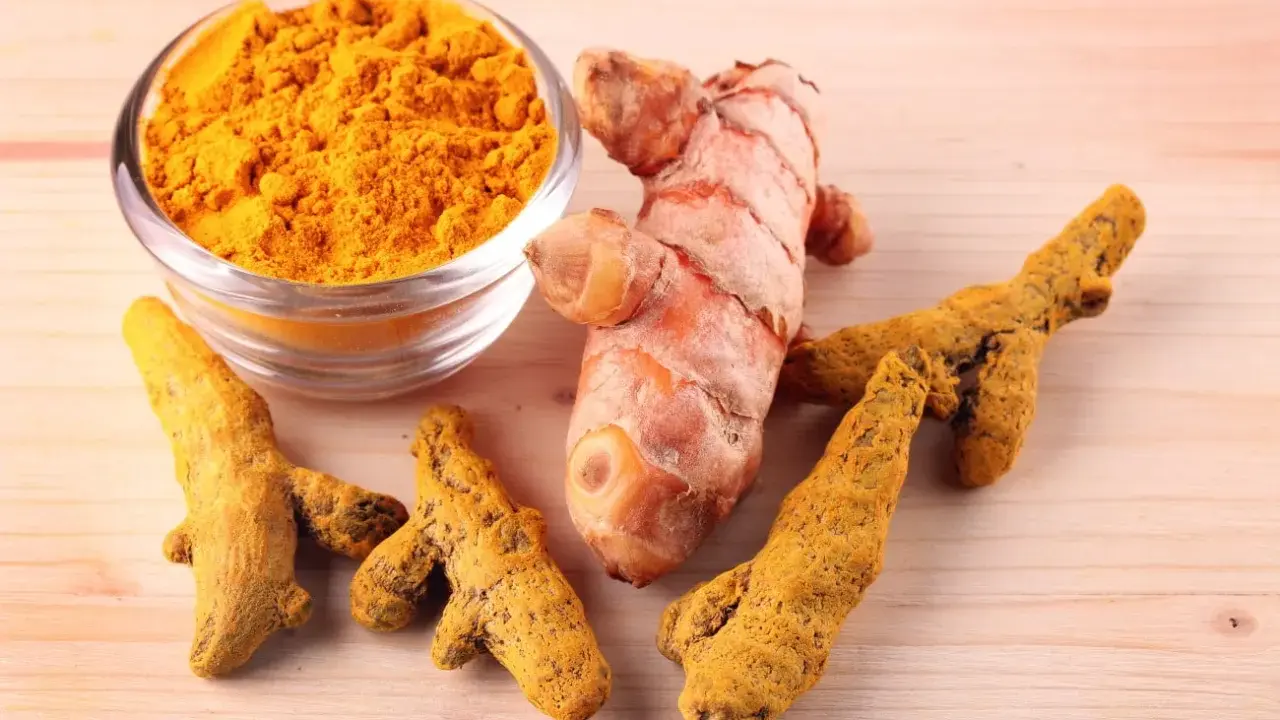 Racines de curcuma fraîches et en poudre, symboles des nombreux curcuma bienfait pour la santé.