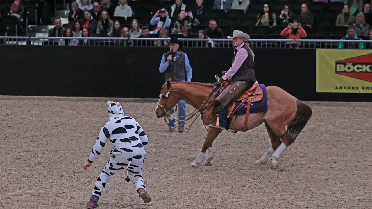 Eine Reiterin im Westernstil reitet ein Pferd, während eine Person im Kuhkostüm im Vordergrund steht.