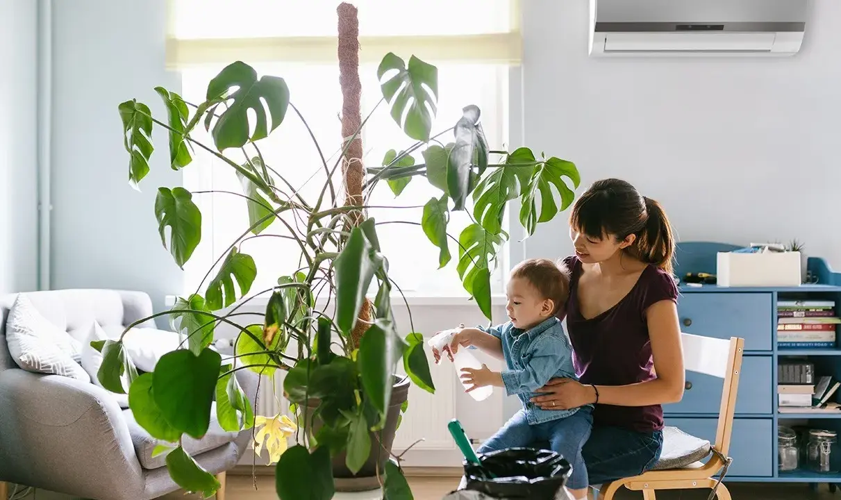 Madre e hijo riegan una planta grande. El aire acondicionado huele a humedad, pero la escena es acogedora.