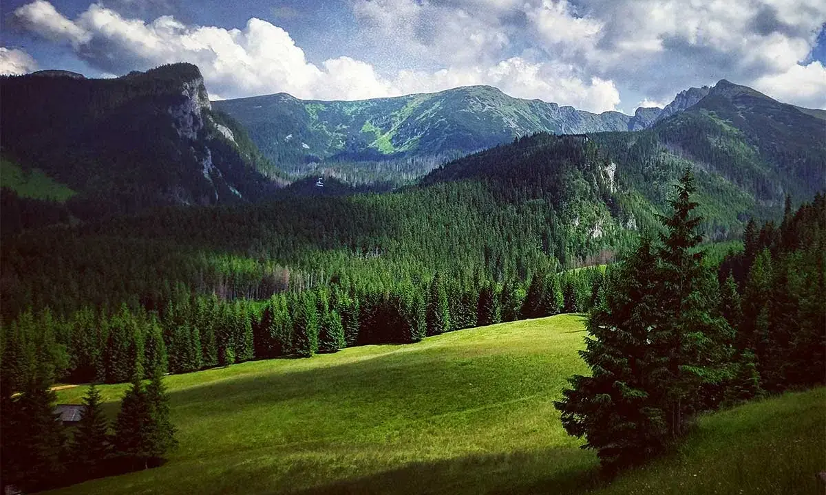 Tatry widziane z Zakopanego: zielone hale, gęste lasy świerkowe i skaliste szczyty pod chmurami.
