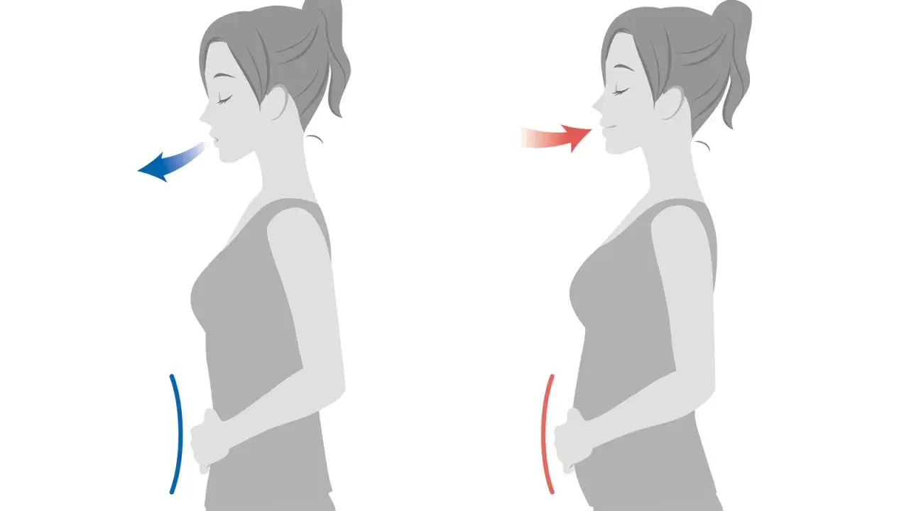 Zwei Silhouetten einer Frau zeigen Atemtechniken. Links: Einatmen, Bauch flach. Rechts: Ausatmen, Bauch wölbt sich, keuchendes Atmen.