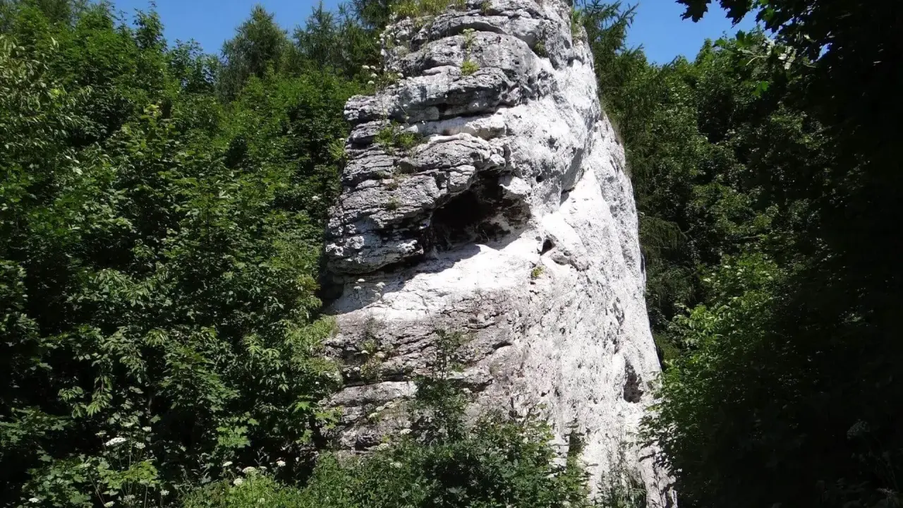 Wysoka, biała skała w otoczeniu bujnej zieleni, tworząca malowniczy krajobraz skalnego miasta w Polsce.