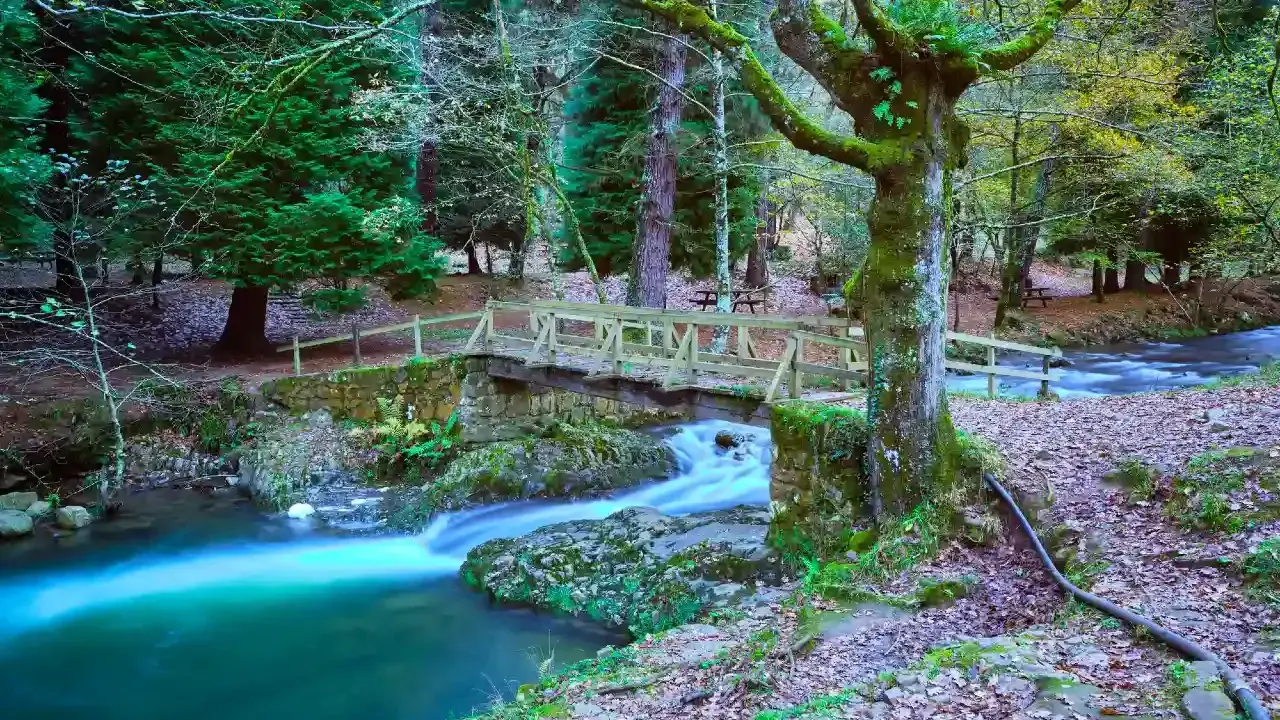 Puente de madera sobre río turquesa, ideal para rutas con niños en Cantabria. Bosque frondoso y cascada.