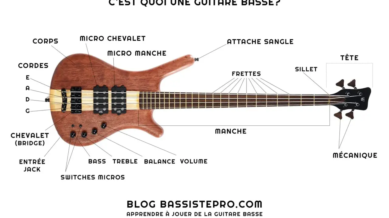 Schéma d'une guitare basse, expliquant ses différentes parties comme le corps, le manche, les cordes et les micros. La différence basse et guitare électrique réside dans le nombre de cordes et la profondeur du son.