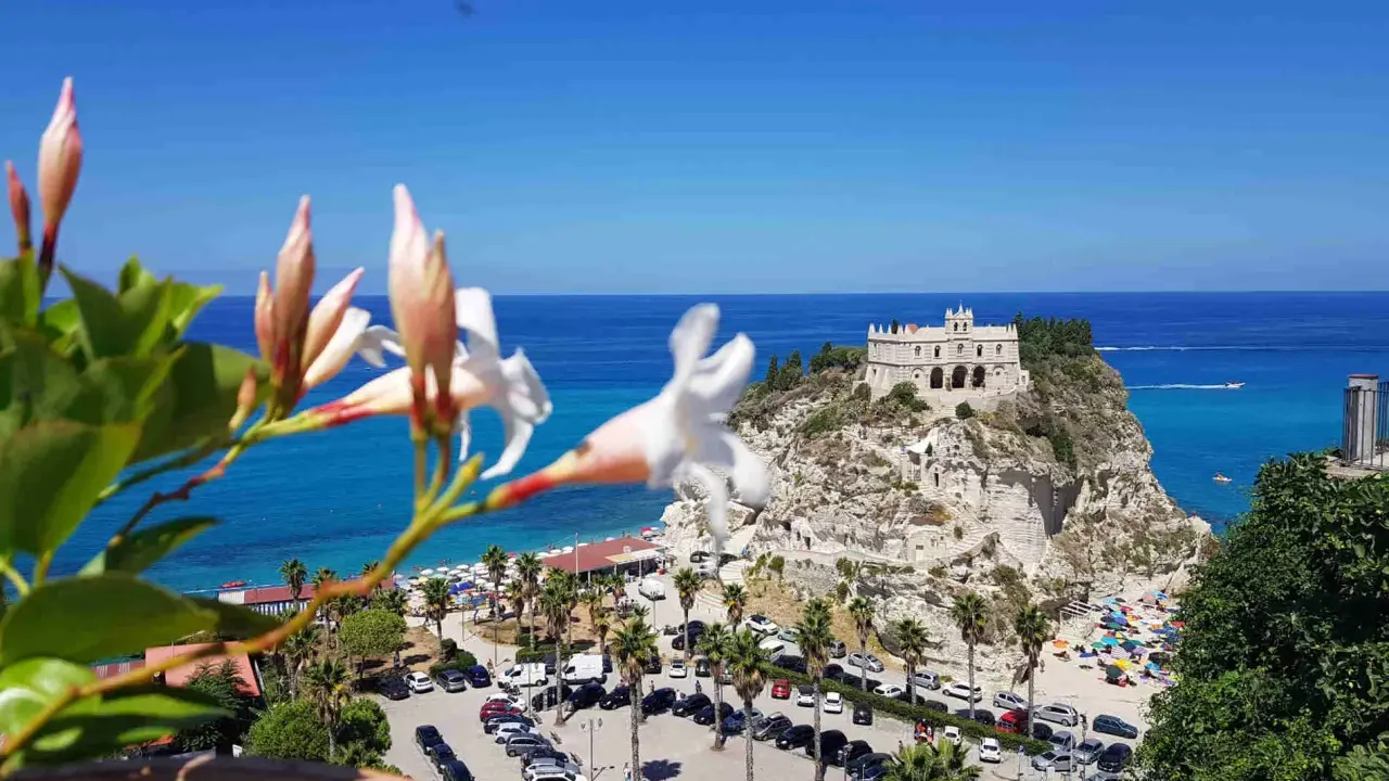 Fiori bianchi in primo piano con vista su Tropea e dintorni: il Santuario, la spiaggia affollata e il mare blu.