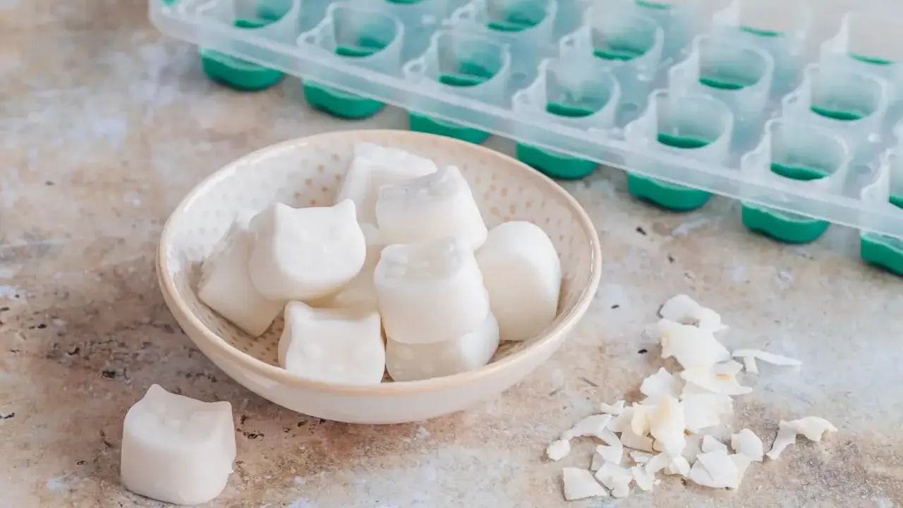 Kleine, weiße Eiswürfel in Katzenform liegen in einer Schale. Sie sind das Ergebnis von kokosmilch einfrieren. Daneben eine leere Eiswürfelform.