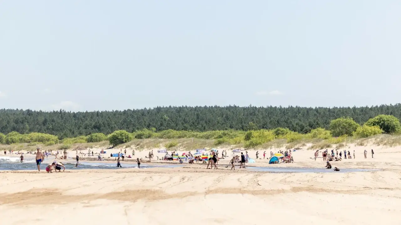 Słoneczna plaża pełna ludzi, z lasem w tle. To idealne miejsce na wypoczynek, jak w urokliwej wsi nad morzem.