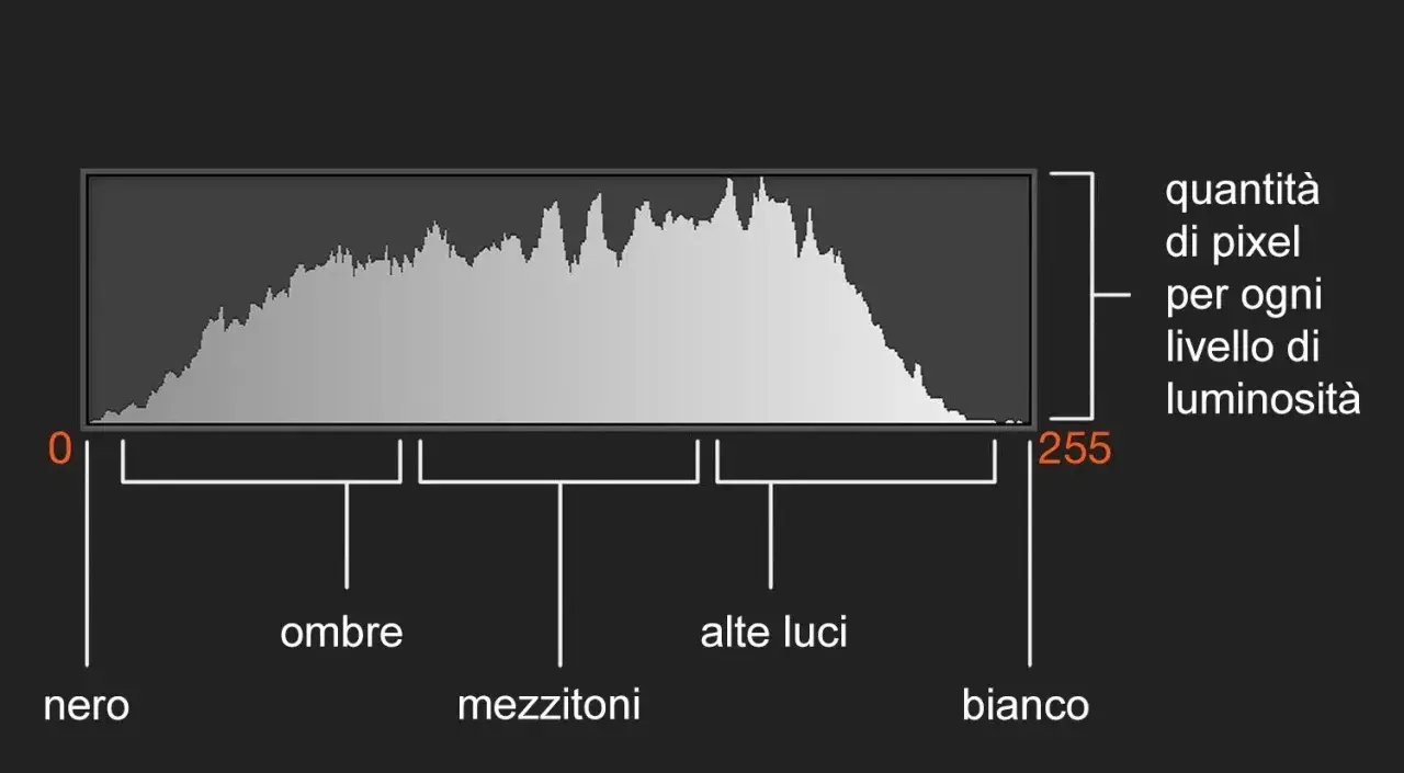 Un istogramma mostra la distribuzione dei pixel per ogni livello di luminosità, da nero (0) a bianco (255), evidenziando ombre, mezzitoni e alte luci.